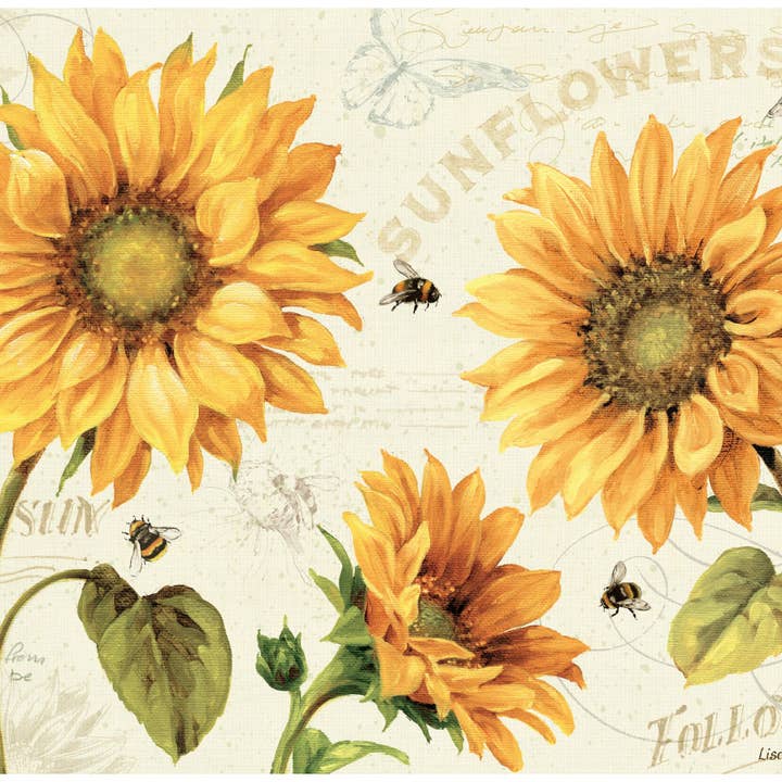 12" x 15" Under the Sun Magic Slice Gourmet Formaat voor wholesale door American Products Group, Inc