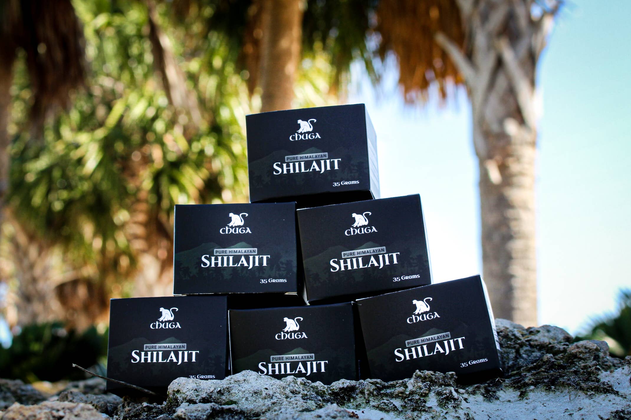 Chuga Shilajit - Wholesale Oral Supplement/Vitamin - Pure Himalayan Shilajit9