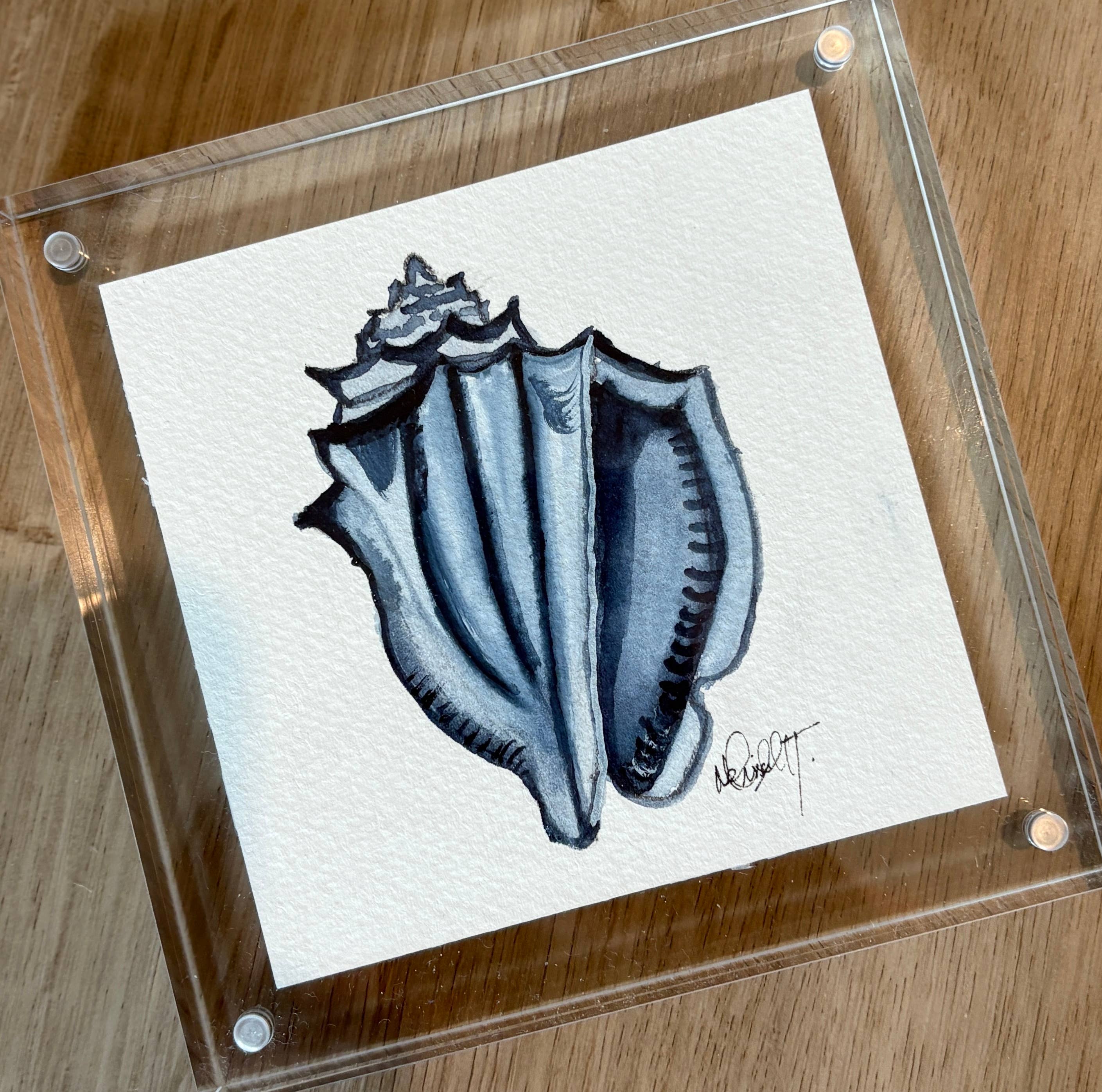 Paper Shells Studio - Venta al por mayor Ilustración - Concha marina original en acuarela en marco de bloque acrílico, 5x51