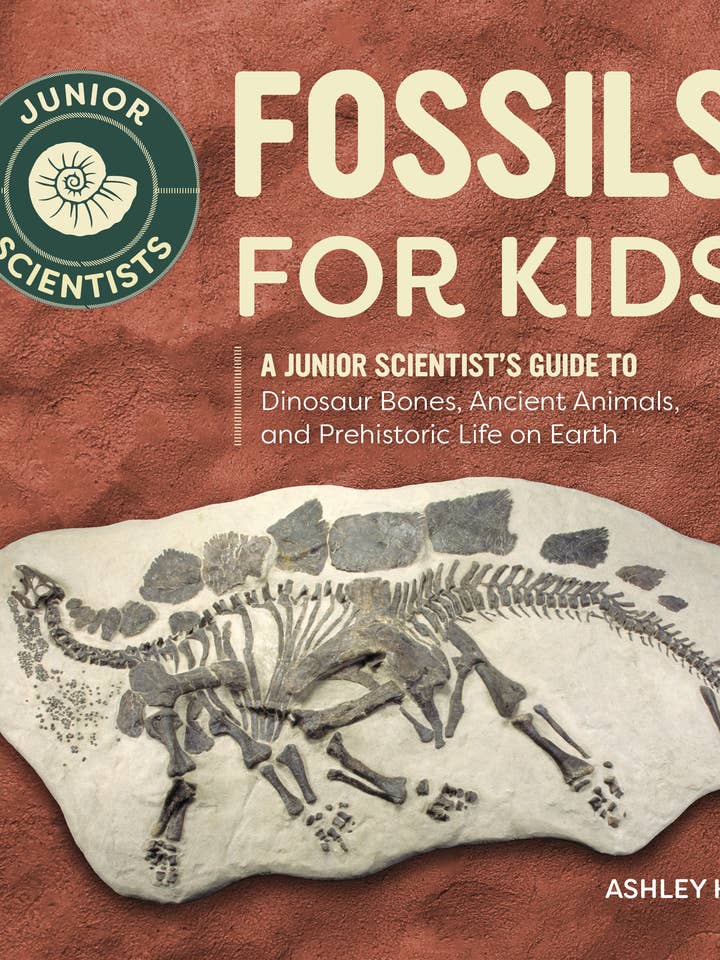 Fossils for Kids for wholesale by Sourcebooks