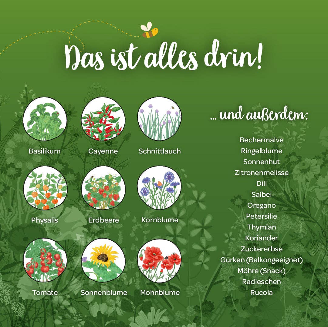 TDJ Stadtgärtner GmbH - Wholesale Advent Calendar - Seed advent calendar with door5