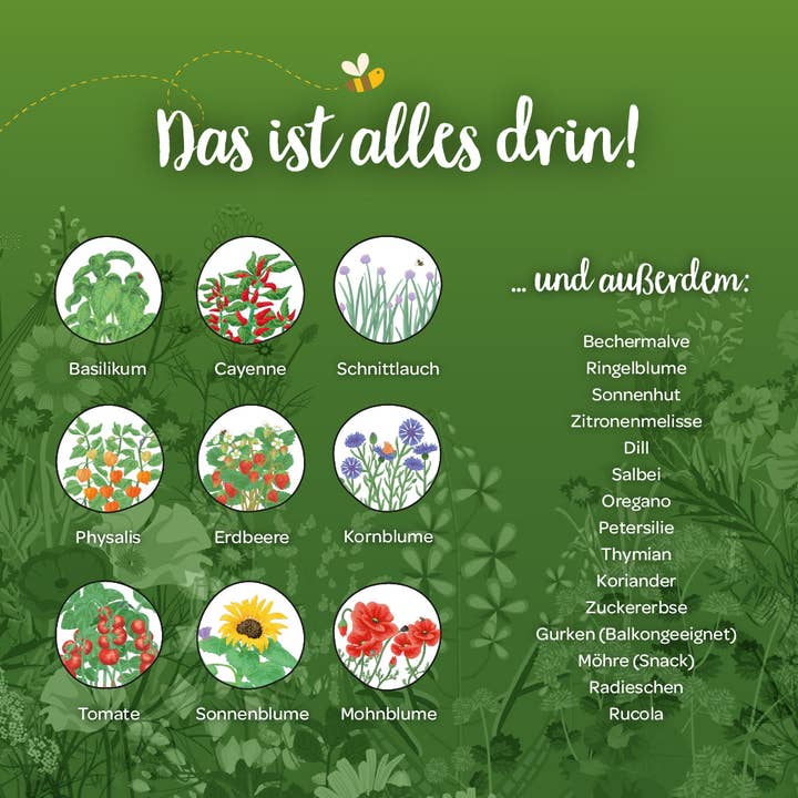 TDJ Stadtgärtner GmbH - Wholesale Advent Calendar - Seed advent calendar with door5