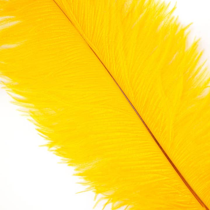 Store strudsefjer - 17"+ Drabs - Guld for engroshandel hos Zucker Feather Products