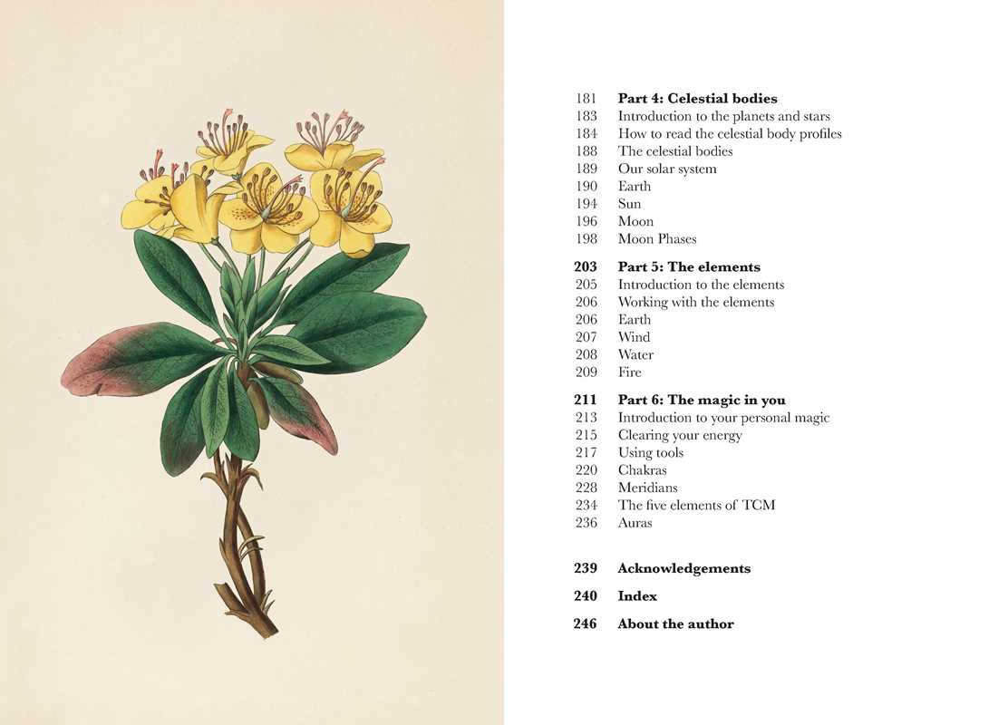 Simon & Schuster - Wholesale Body, Mind & Spirit - A Practical Guide to Magic in Nature by Jessica Lahoud4