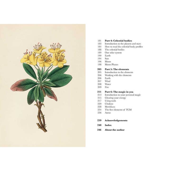 Simon & Schuster - Wholesale Body, Mind & Spirit - A Practical Guide to Magic in Nature by Jessica Lahoud4