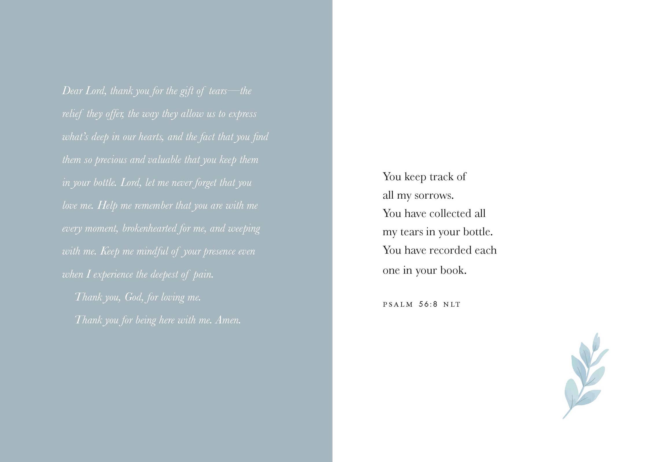 Harvest House Publishers Gift & Specialty Books - Wholesale Religion - Sacred Tears2