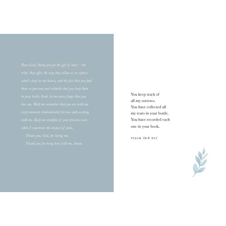 Harvest House Publishers Gift & Specialty Books - Wholesale Religion - Sacred Tears2