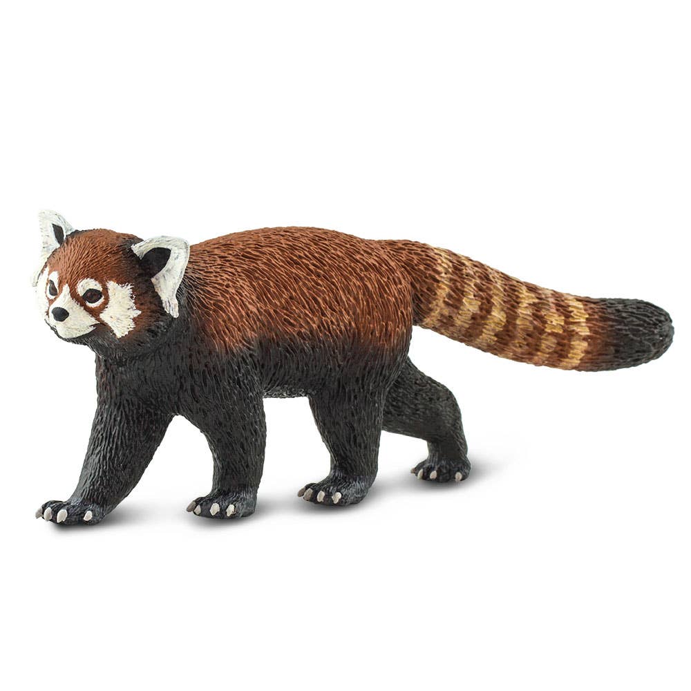 Safari Ltd. - Wholesale Figurine Toy - Kids - Red Panda - 1003201