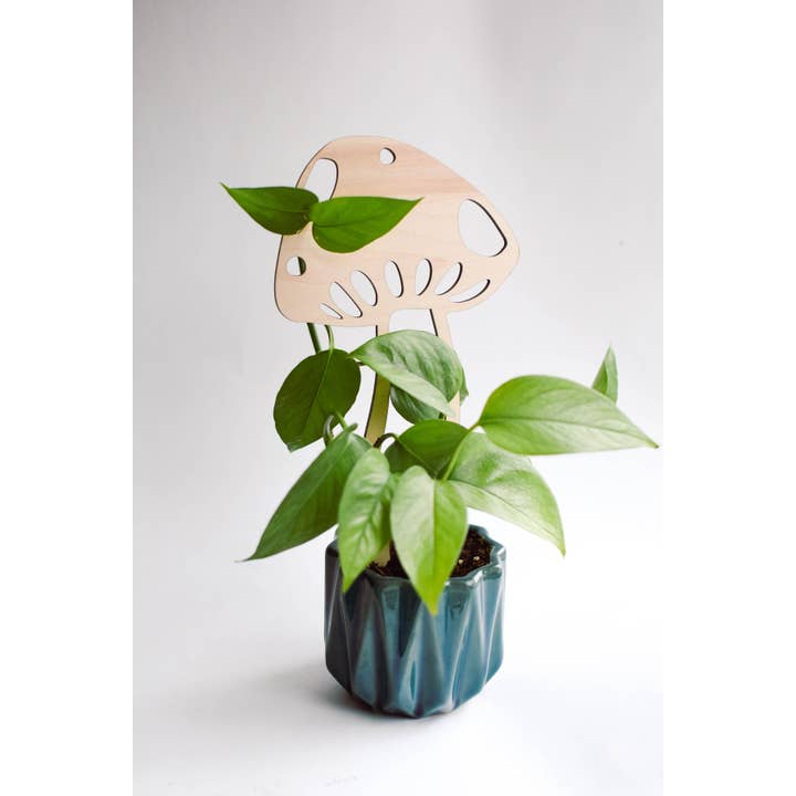 PlantsNsht - Wholesale Trellis - Mushroom Plant Trellis2