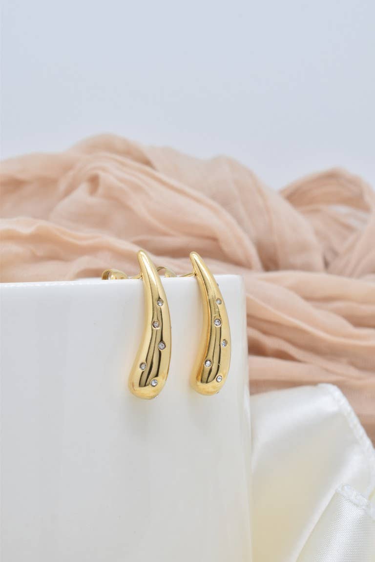 Kapyco - Wholesale Dangle Earrings - Stainless steel earrings - BO1003882