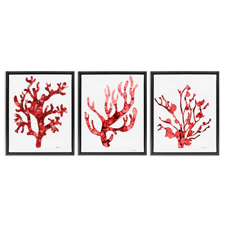 Bold Red Coral Floater Framed Art for wholesale by Stupell Industries