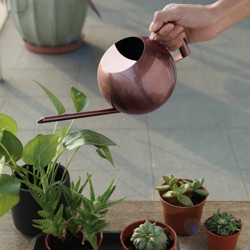 BRECK + FOX - Wholesale Watering Can - Minimalist Plant Watering Can3