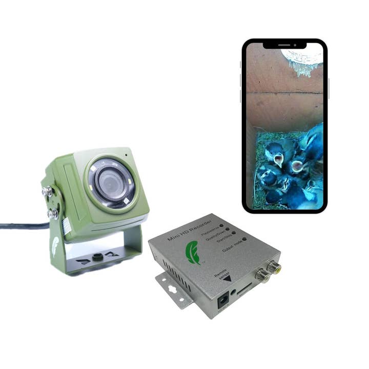 Connessione via cavo HD Pacchetto Mini Registratore per Telecamera per Uccelli e Fauna Selvatica per la vendita all'ingrosso da parte di Green Feathers