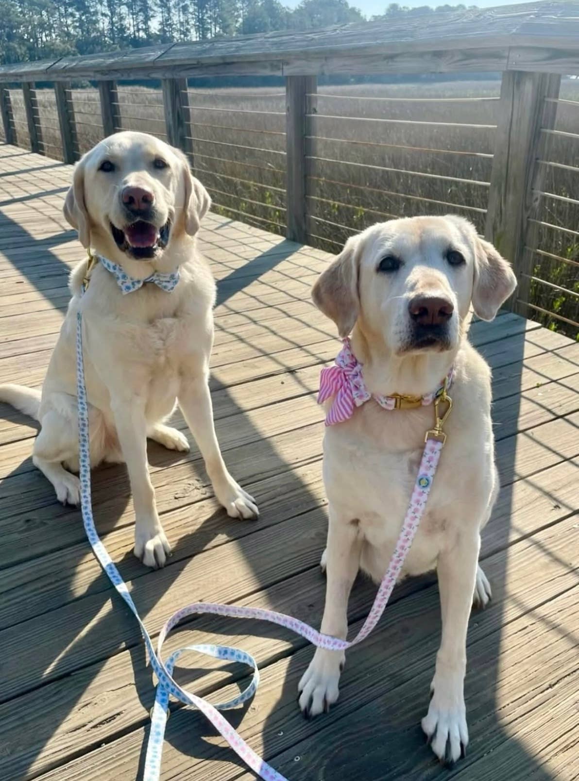 Covey Collection - Wholesale Pet Collar - Dog - Pink Hydrangea Dog Collar 3