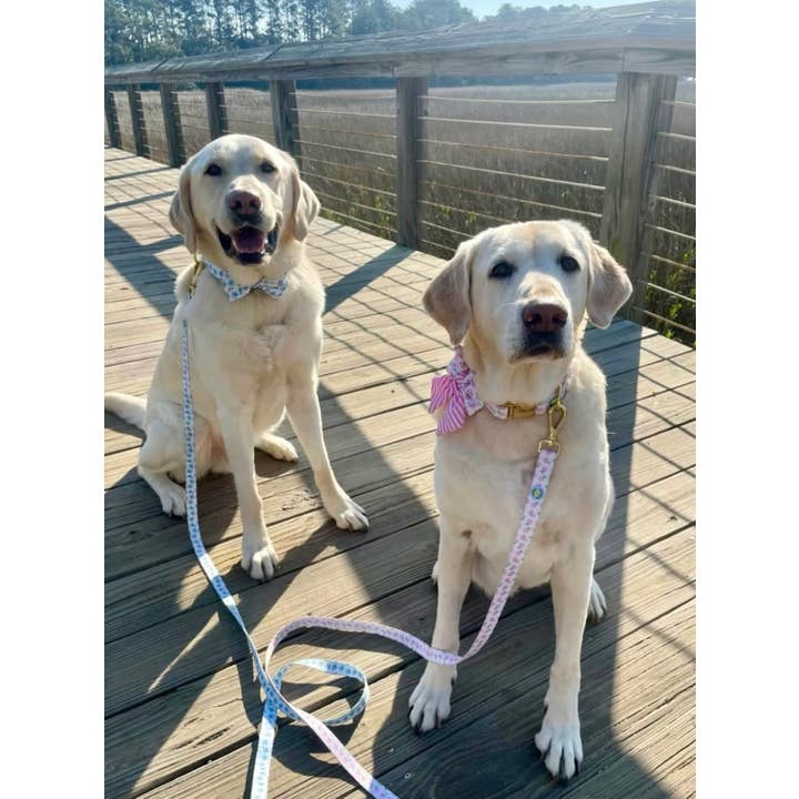 Covey Collection - Wholesale Pet Collar - Dog - Pink Hydrangea Dog Collar 3