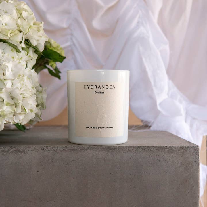 Studio Sol Store - Wholesale Jar/Filled Candle - Hydrangea Candle | Gratitude2