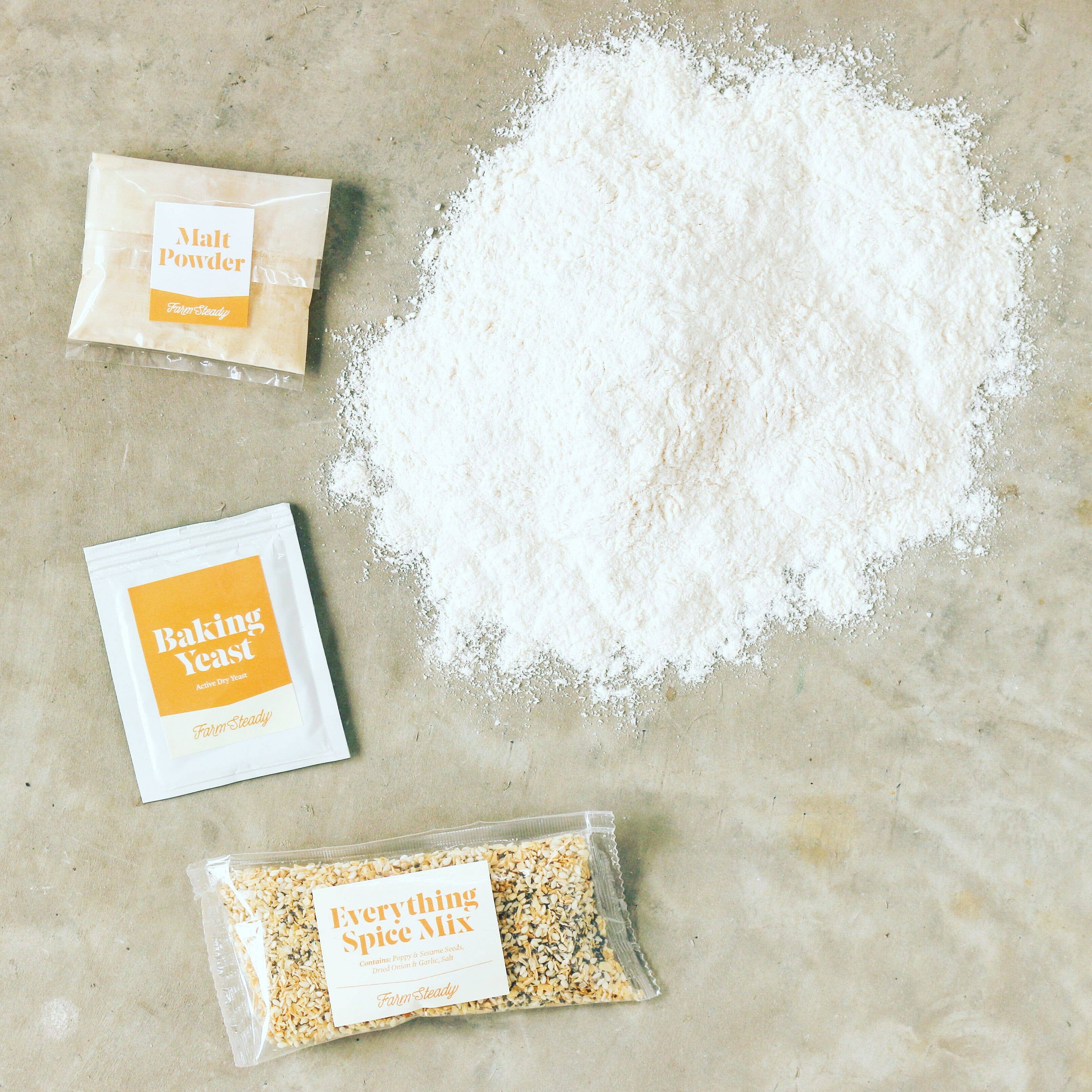 FarmSteady - Wholesale DIY Food Kit - Everything Bagel and Cream Cheese Making Kit1