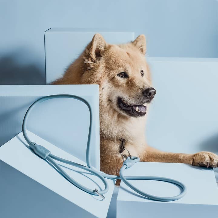 ne&no - Wholesale Pet Leash - Dog - ne&no® Dog Leash "Loft Style" - Weatherproof - modern design5