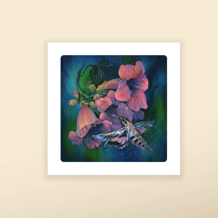 White Lined Sphinx Moth - Fine Art Print for wholesale by Nimasprout