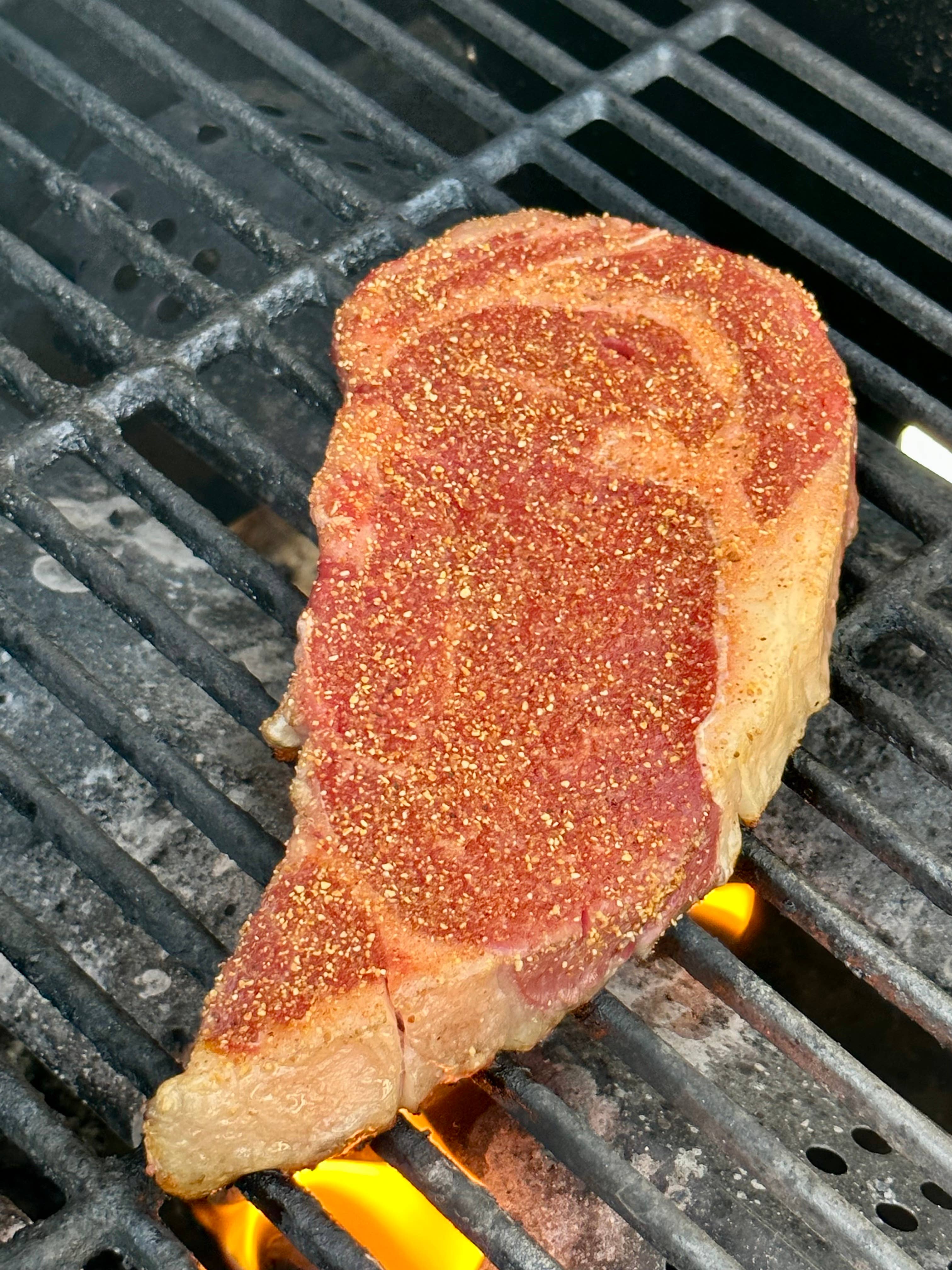 Desert Dust - Wholesale Dried Spice Mix - ORIGINAL Desert Dust All-Purpose Seasoning ft. Dates6