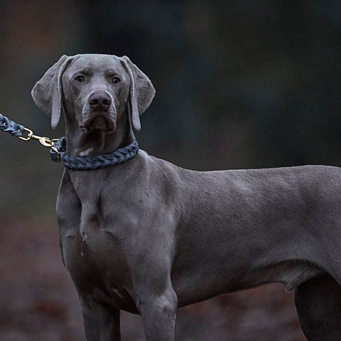 ammi for Dogs - Wholesale Pet Leash - Dog - 3-way adjustable leather leash3