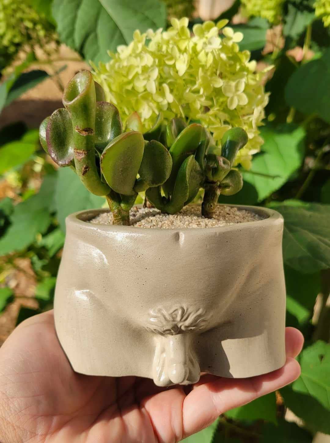 Fern and Folk - Wholesale Plant Pot - Penis Pot | Flower pot | Planter | Funny Pot | Peen Pot