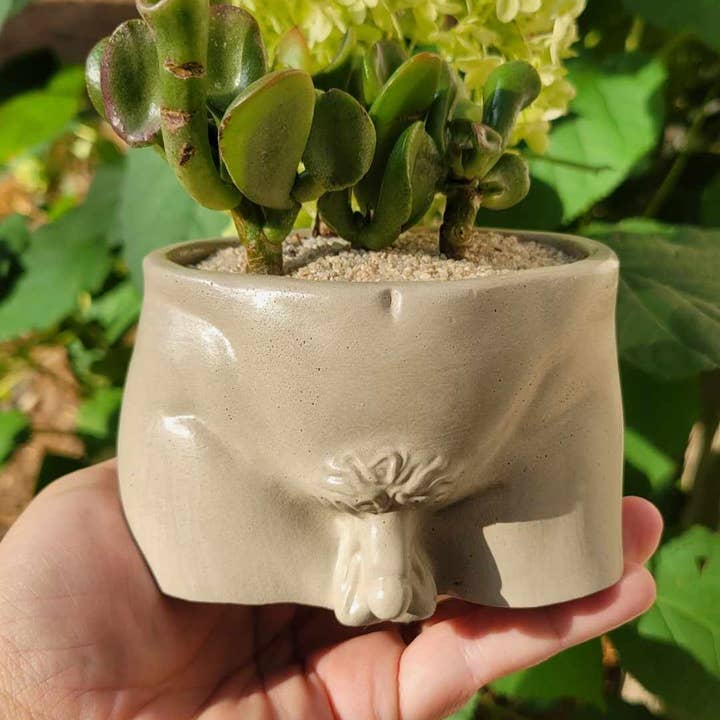 Fern and Folk - Wholesale Plant Pot - Penis Pot | Flower pot | Planter | Funny Pot | Peen Pot0