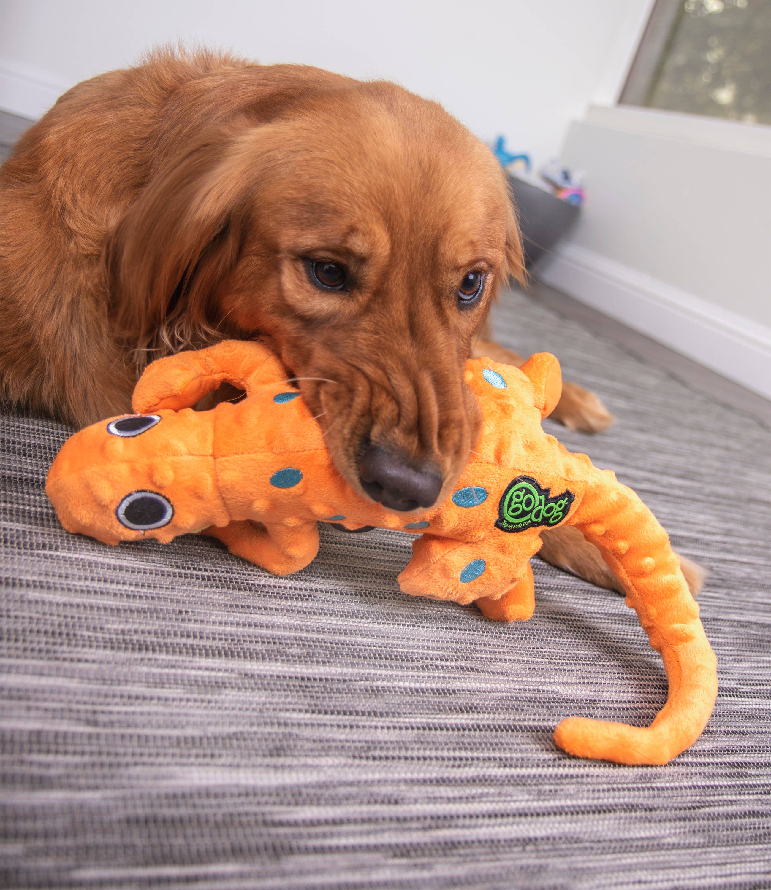 Pet Palette Distribution - Wholesale Pet Plush Toy - Dog - goDog Amphibianz Gecko Squeaky Plush Dog Toy Large3