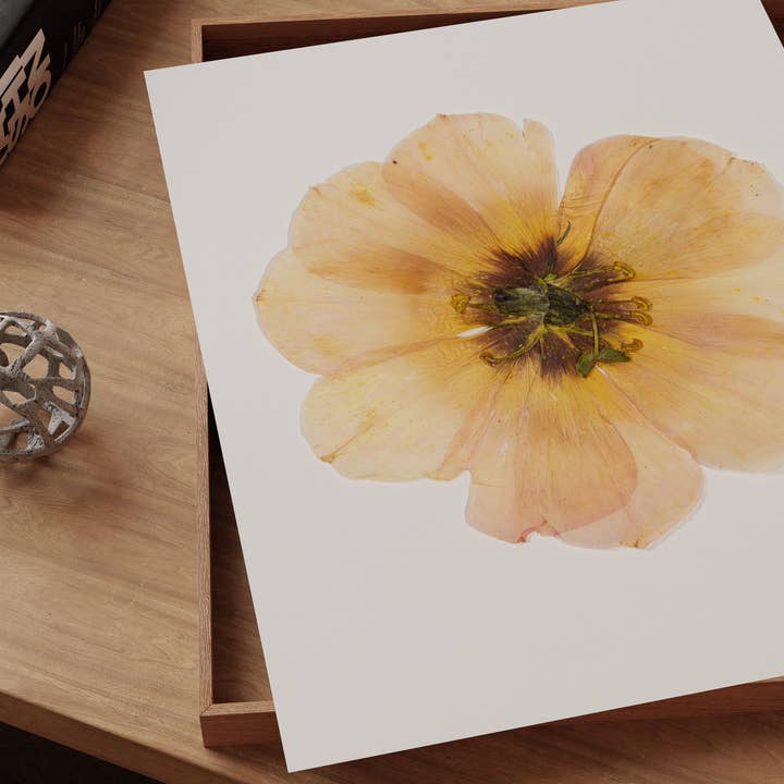 Hope Steinle Pressed Flower Art - Wholesale Art print - Slow Bloom4