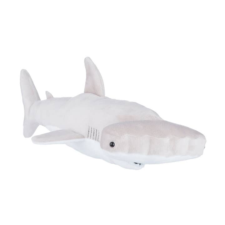 Requin marteau pour la vente par Aliquantum International Inc.