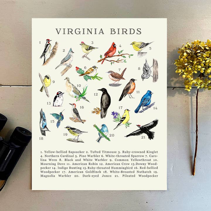Deerhawk Art Studio - Wholesale Art Print - Virginia Birds Art Print