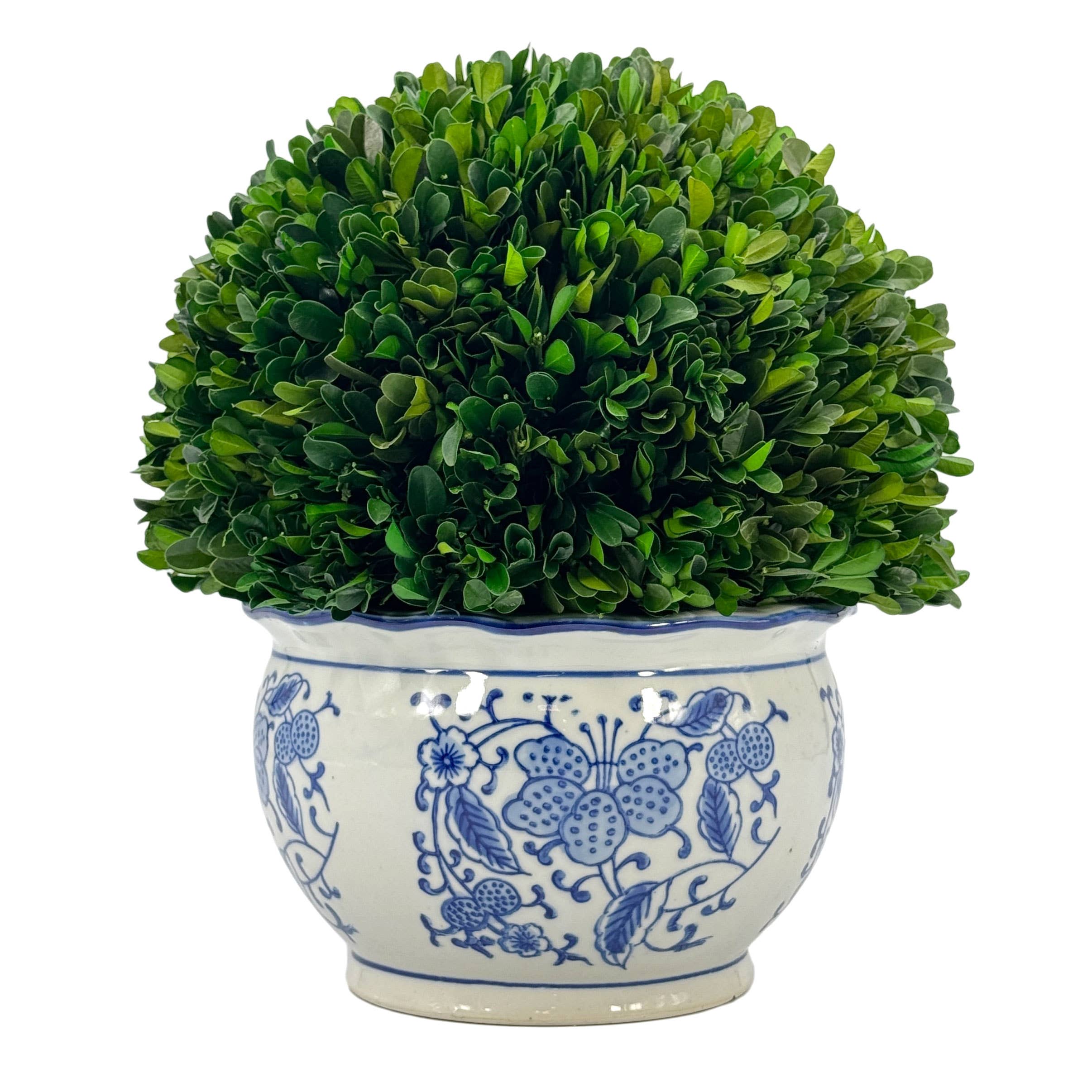 Galt International Company - Wholesale Kunstplant - Buxusbol-topiary in ronde blauw-witte keramische pot6