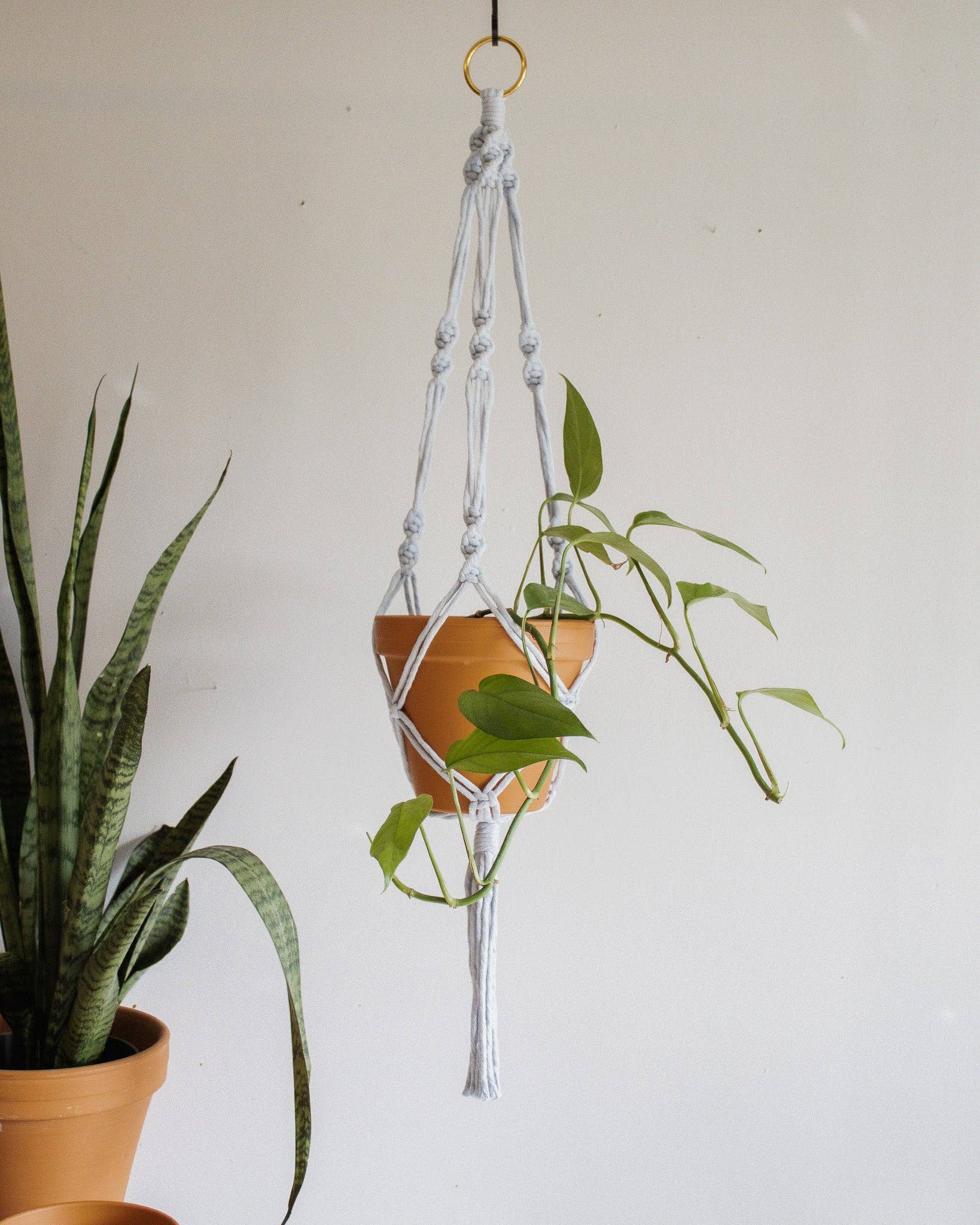 Modern Bo Studio – Vasos suspensos por atacado – Suporte para Planta em Macramê Simples com Torção2