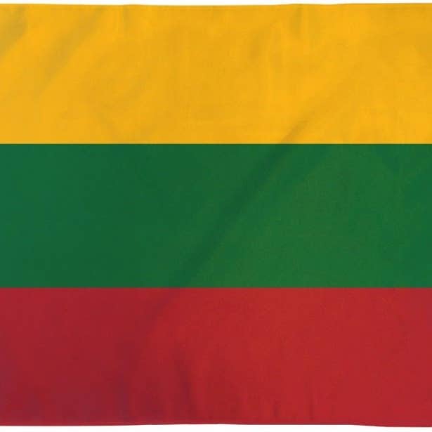 Flags Importer - Wholesale Flag - Lithuania Flag 2x3ft Poly1