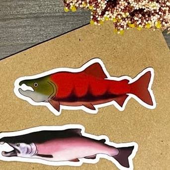 King Salmon, adesivo impermeável do Alasca, feito no Alasca por atacado de The Rooted Lupine