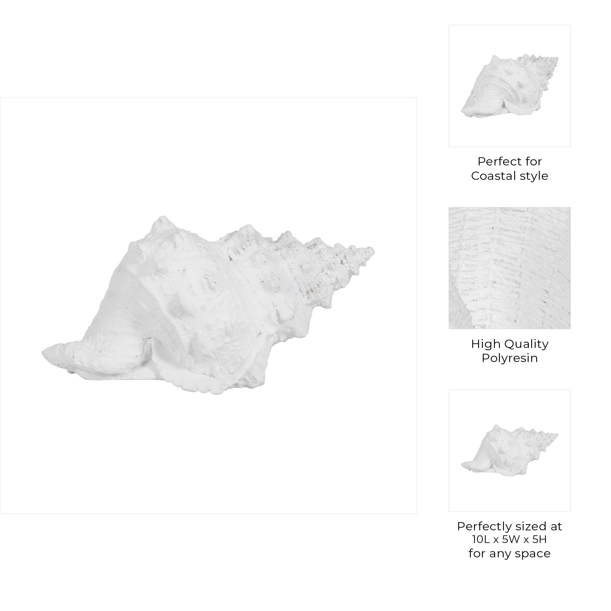 Sagebrook Home - Wholesale Decorative Figurine - Figurine - White Resin Coastal Solid Conch Shell, 10 in.3