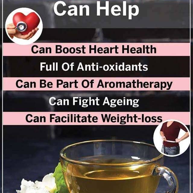 The Rike - Wholesale Loose Tea - Dried Jasmin Buds Herbal Tea white Jasmine Flower Tea 100 gr2