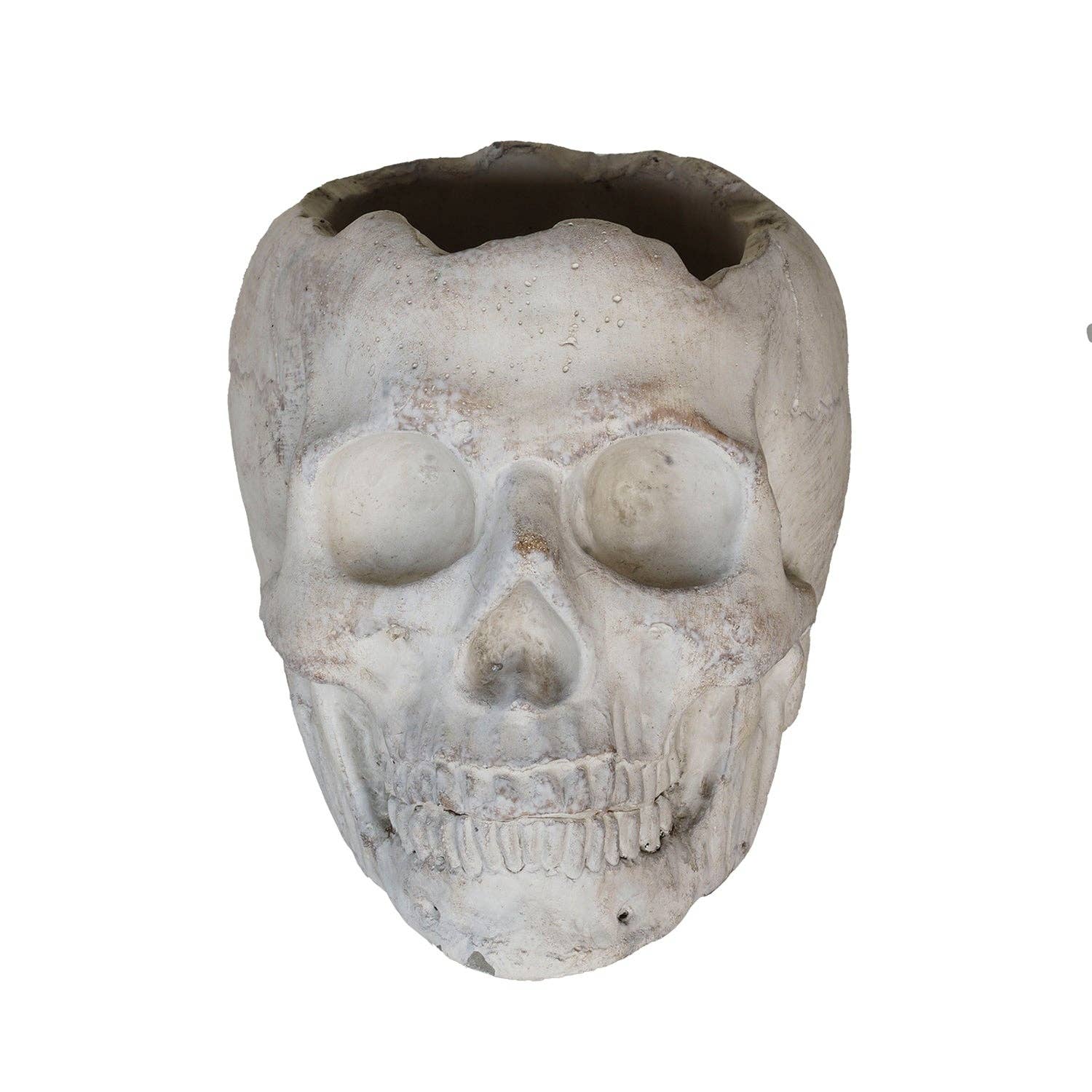 Blue Ocean Traders - Wholesale Outdoor Ornament/Decor - Concrete Momento Mori Skull1