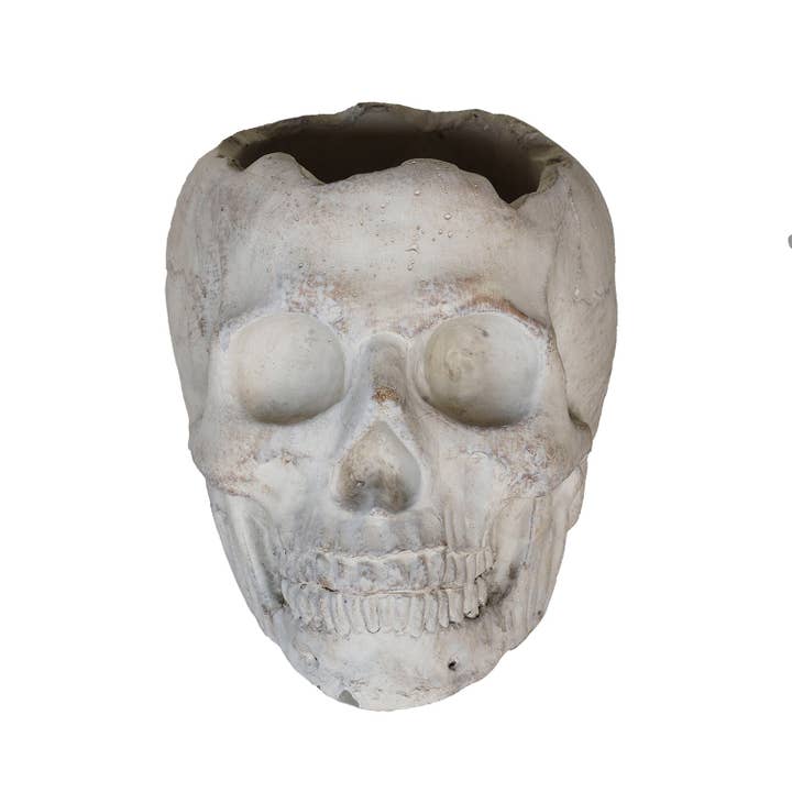 Blue Ocean Traders - Wholesale Outdoor Ornament/Decor - Concrete Momento Mori Skull1