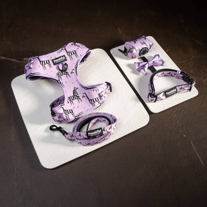 Poochiful - Wholesale Pet Leash - Dog - Dog Lead - Zee Zee Zebra Lilac Edition
