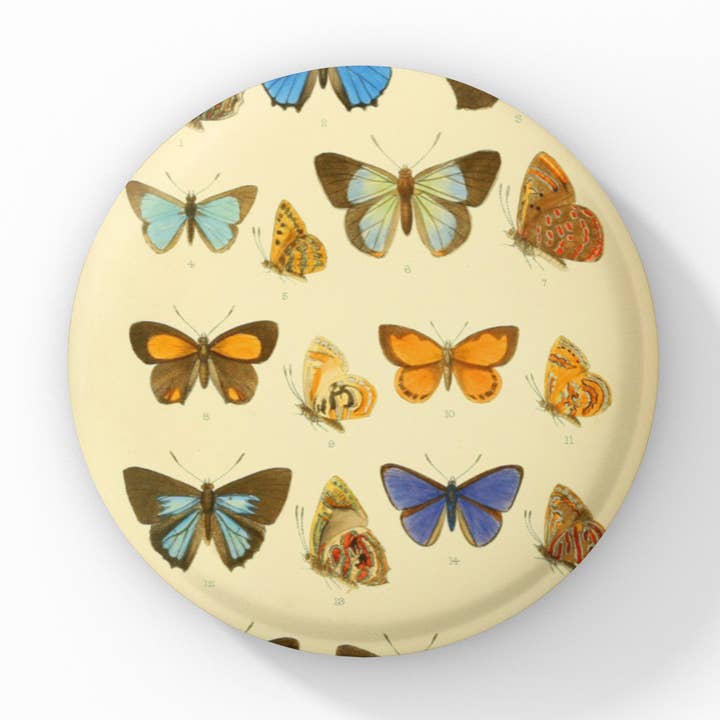 Butterfly Pin Button, Butterfly Keychain, Butterfly Magnet for wholesale by NatureCuts
