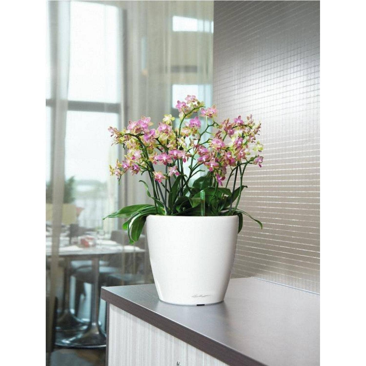 Lechuza Self Watering Planters - Vendita all'ingrosso Vasi per piante - LECHUZA CLASSICO LS Vaso rotondo in poliresina8