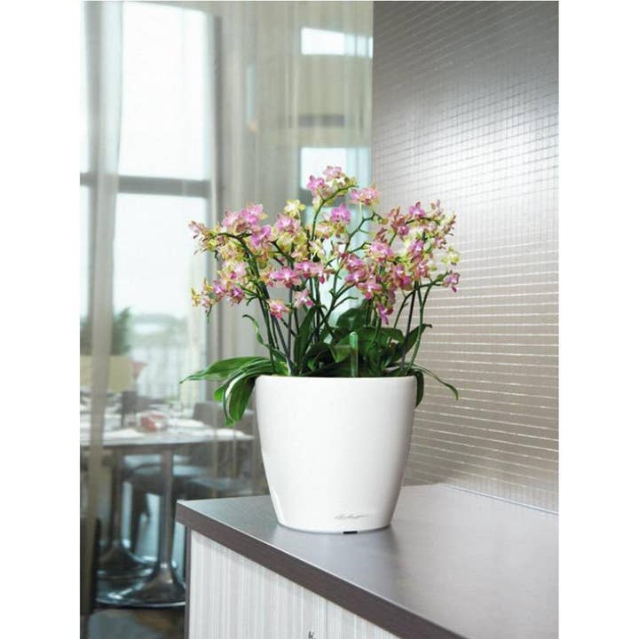 Lechuza Self Watering Planters - Vendita all'ingrosso Vasi per piante - LECHUZA CLASSICO LS Vaso rotondo in poliresina8