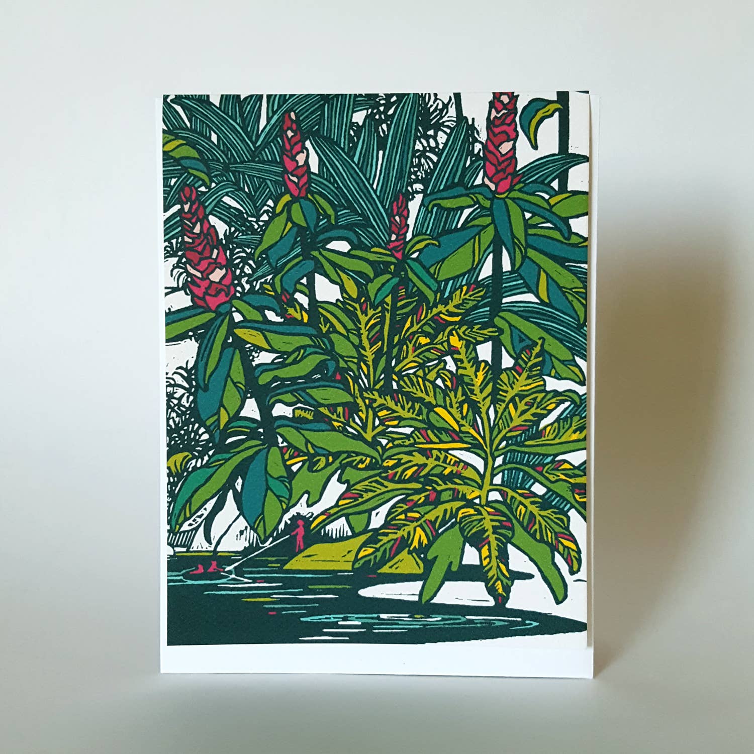 Little Green - Wholesale Stationery/Notecard Set - Assorted Tropical Blank Note Card Set of 8 / Fine Art Greeting Cards9