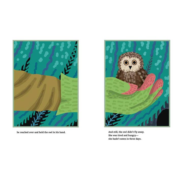 Simon & Schuster - Wholesale Preschool Book (3-5) - Little Owl & the Big Tree by Jonah Winter4