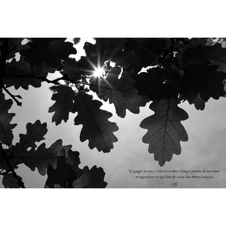 Étoile de Chêne pour la vente par L'Ecriture D'Un Regard