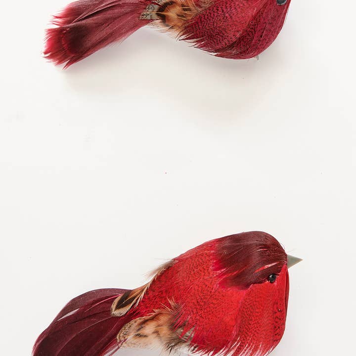 WORTH IMPORTS - Wholesale Christmas Decoration - 4.5" Feathered Bird with Metal Clip2