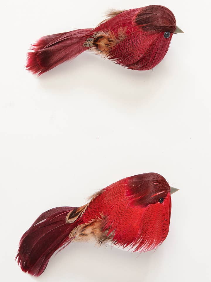 4.5" Feathered Bird with Metal Clip for wholesale by WORTH IMPORTS
