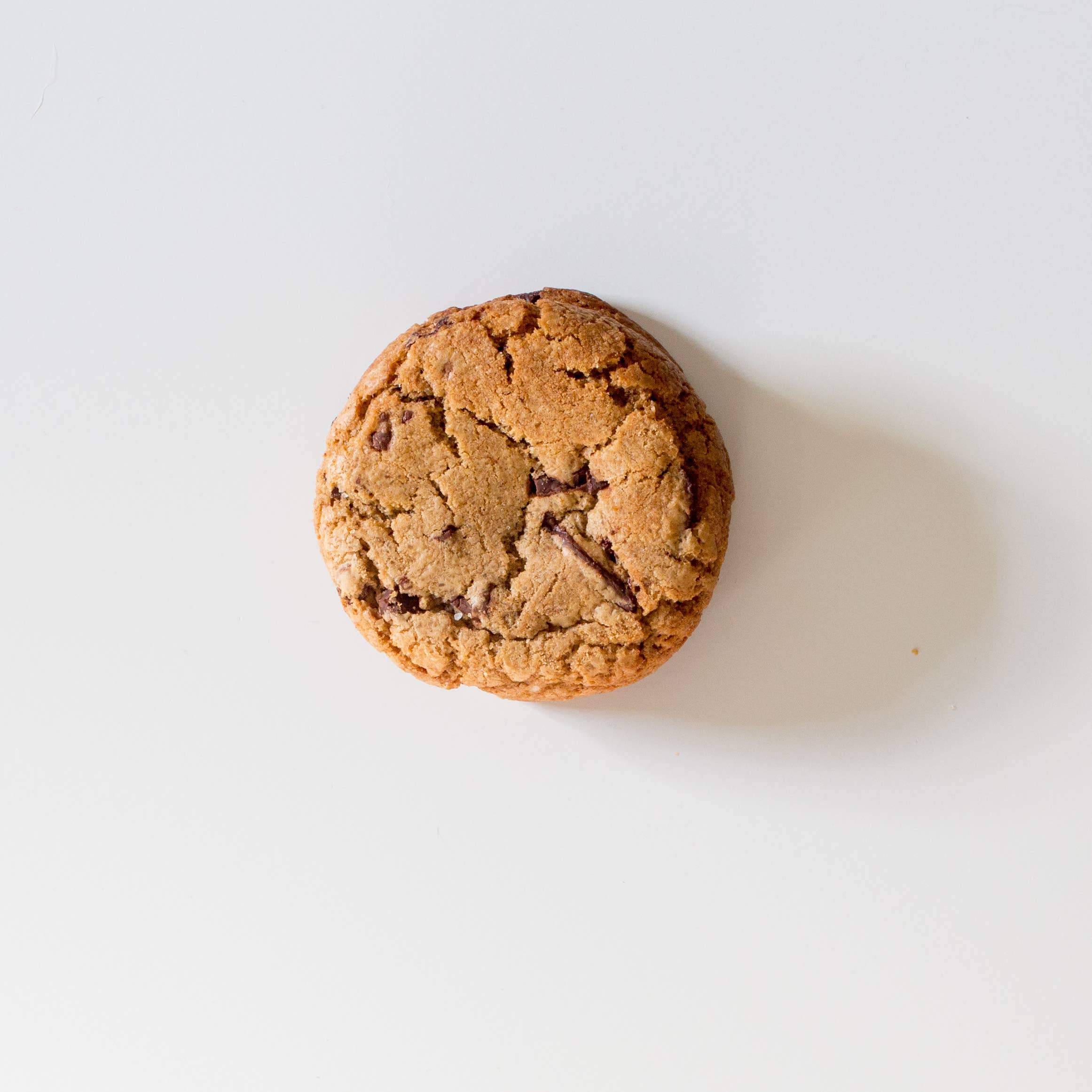 Little Red Kitchen Bake Shop - Wholesale Cookie - Signature Chocolate Chip Cookies2
