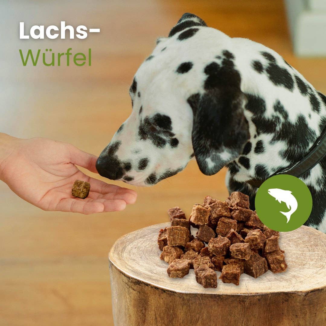 Kauartikel.com GmbH - Wholesale Pet Treats - Dog - Salmon cubes2